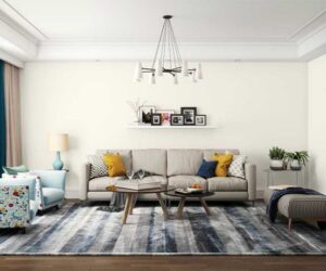 Asian Paints Royale